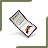 WildLense Leopard Lapel Pin Wildlense
